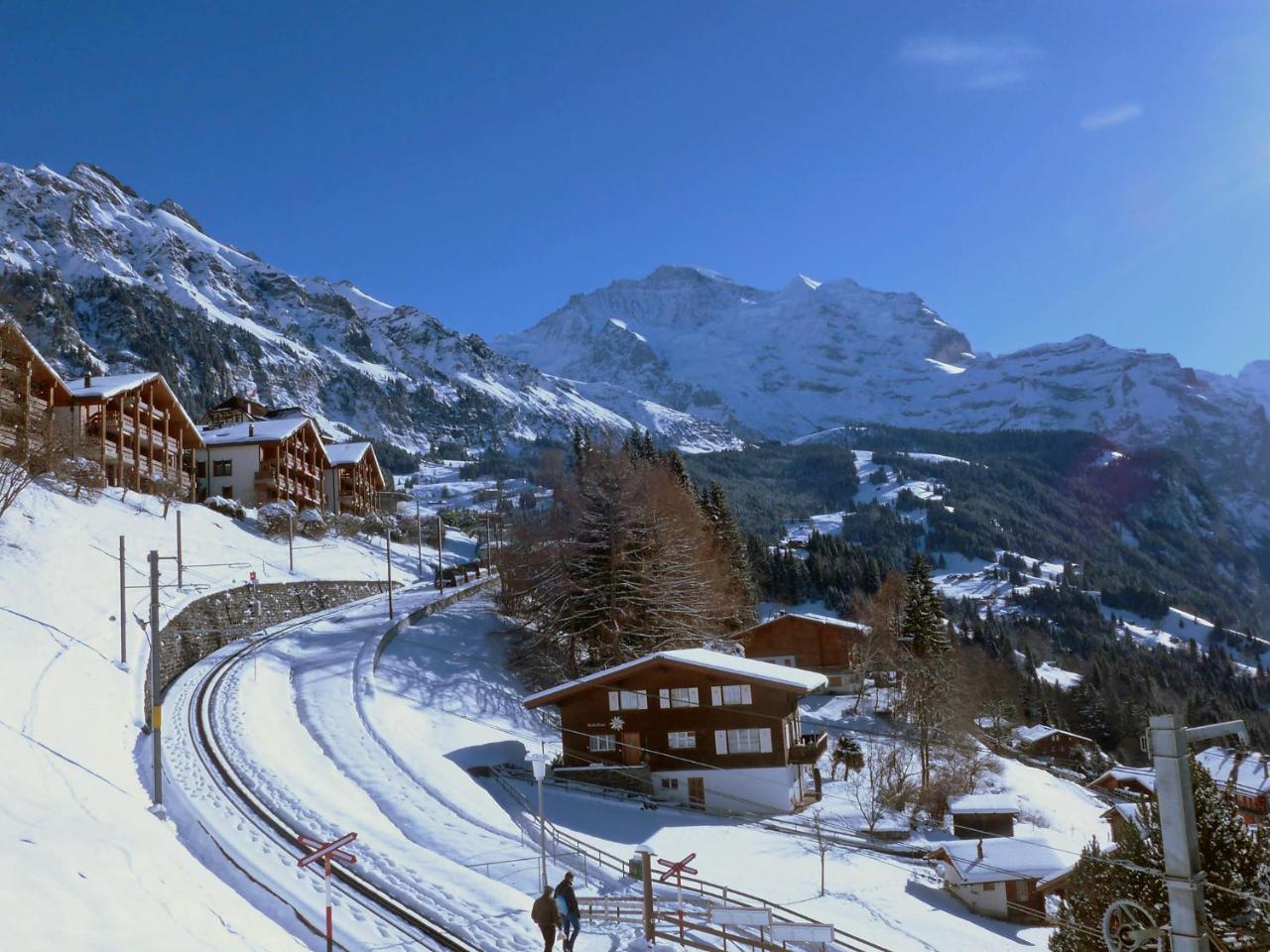 Studio Krokus By Interhome Wengen Exteriör bild